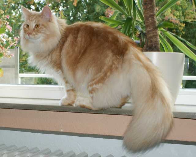 Nathan 10 Monate alt