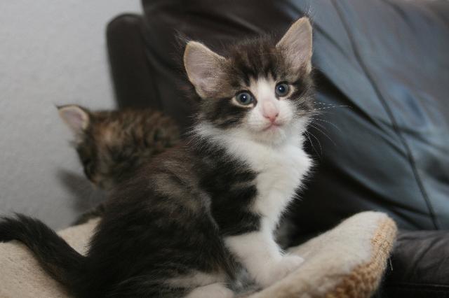 Quarans Joie de vivre