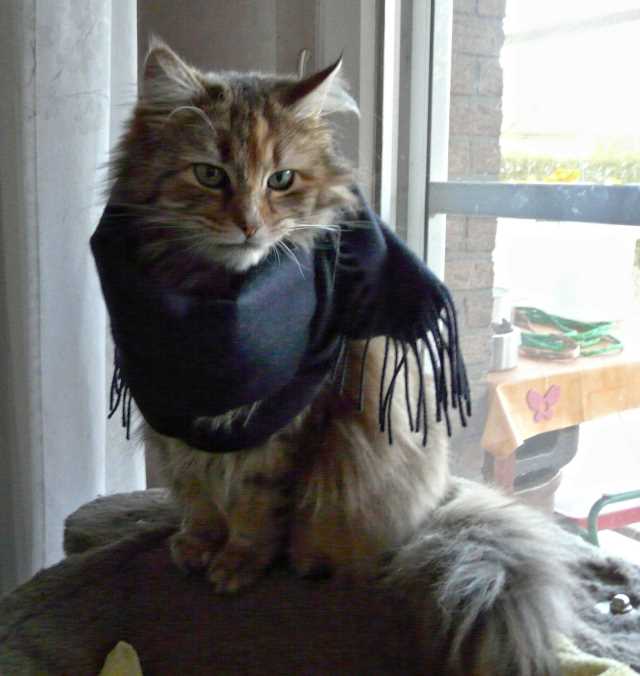 wie es sich für eine Lady gehört: für das Fotoshooting nur mit der Sonntagsgarderobe